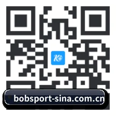 Apple 移动终端版 二维码